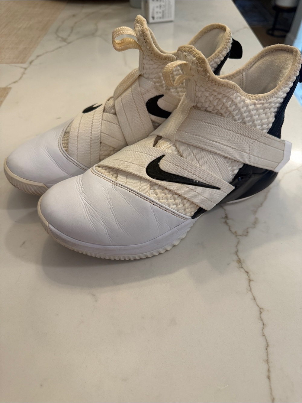 Nike LeBron sneakers